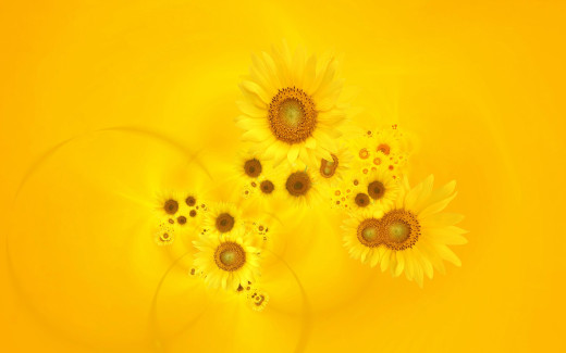 855014 (a): :1920x1200